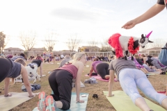 march-2019goat-yoga27kristinmerwin114march-2019