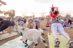 march-2019goat-yoga28kristinmerwin114march-2019