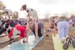march-2019goat-yoga29kristinmerwin114march-2019