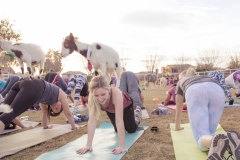 march-2019goat-yoga30kristinmerwin114march-2019