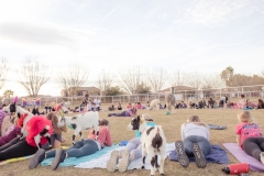 march-2019goat-yoga35kristinmerwin114march-2019