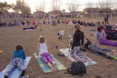 march-2019goat-yoga42kristinmerwin114march-2019