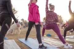 march-2019goat-yoga44kristinmerwin114march-2019