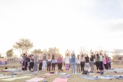 march-2019goat-yoga55kristinmerwin114march-2019