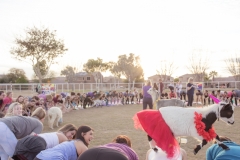 march-2019goat-yoga58kristinmerwin114march-2019