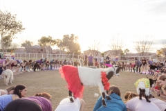 march-2019goat-yoga59kristinmerwin114march-2019