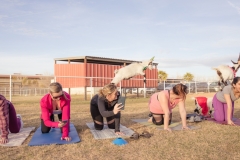 march-2019goat-yoga5kristinmerwin114march-2019