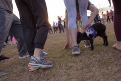 march-2019goat-yoga61kristinmerwin114march-2019