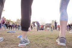 march-2019goat-yoga66kristinmerwin114march-2019