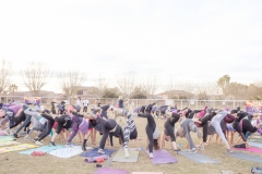 march-2019goat-yoga67kristinmerwin114march-2019