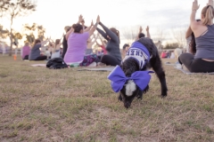 march-2019goat-yoga69kristinmerwin114march-2019
