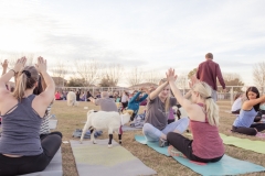 march-2019goat-yoga70kristinmerwin114march-2019