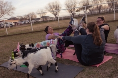march-2019goat-yoga73kristinmerwin114march-2019