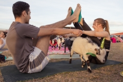 march-2019goat-yoga76kristinmerwin114march-2019