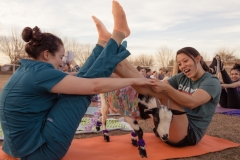 march-2019goat-yoga77kristinmerwin114march-2019