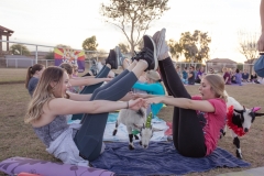 march-2019goat-yoga78kristinmerwin114march-2019
