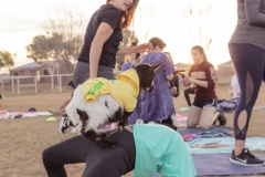 march-2019goat-yoga84kristinmerwin114march-2019