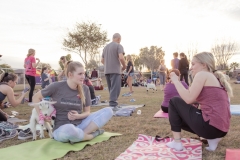 march-2019goat-yoga92kristinmerwin114march-2019