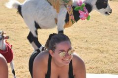 DSC_0448