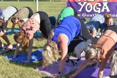 DSC_0316