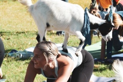 DSC_0223
