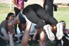 DSC_0392