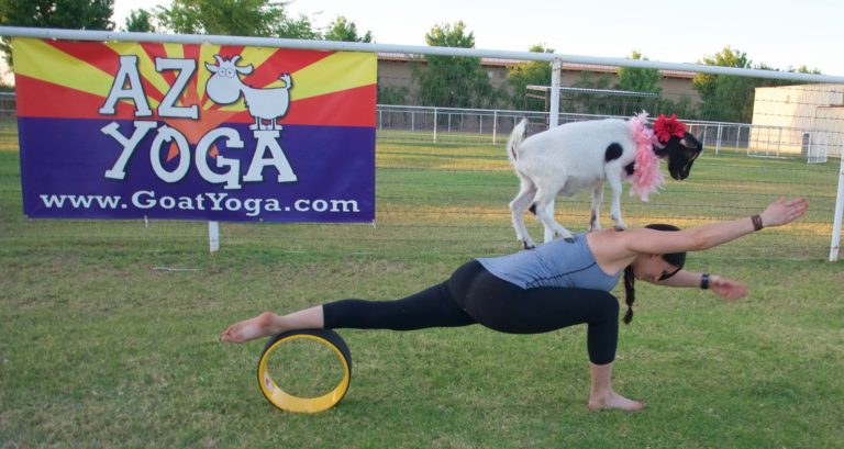 goatyoga.com