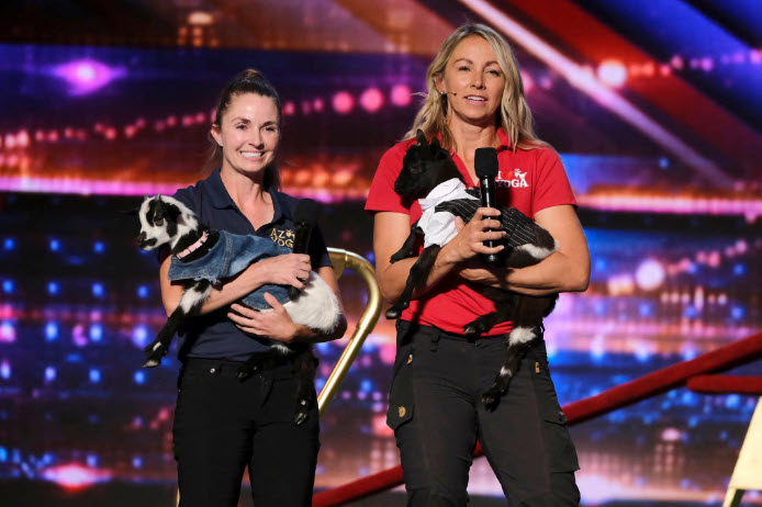 April Gould and Sarah Williams-creators and inventors of the original goat yoga in Gilbert Arizona, on stage  competing on Americas Got Talent with their baby goats holding a microphone and answering questions to the Judges Simon Cowell, Sophia Vergara, Piers Morgan, Terry Crews Howie Mandel, Heidi Klum.